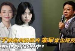 朱军案件最新爆料视频,惊人内幕曝光，真相令人震惊！