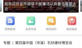 最新模块爆料视频大全集,揭秘科技前沿，畅览创新风采