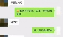 最新吃瓜爆料 聊天记录,最新聊天记录曝光，明星幕后故事大揭秘！”