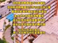 郑州爆料最新消息新闻,突发事件引发社会关注