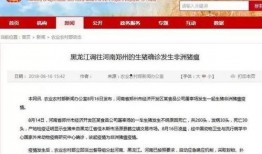 郑州爆料最新消息新闻,突发事件引发社会关注