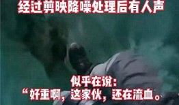 沈阳精彩爆料事件视频最新,揭秘幕后真相与惊人内幕