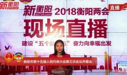 衡阳最新爆料新闻,揭秘某重大事件背后真相