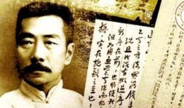 鲁迅最新爆料视频大全集,揭秘文学巨匠的另类人生