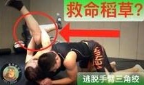 谁爆料的老乔视频大全最新,揭秘幕后爆料者的神秘身影