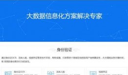 征信公司最新爆料,揭秘个人信用报告背后的秘密