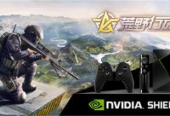 荒野行动新皮肤最新爆料,炫酷造型引玩家热议